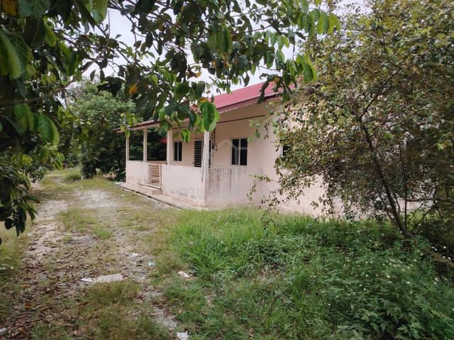 pulau meranti Tanah Kebun dan Rumah Seluas 1 ekar 1