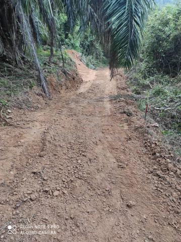 tanah utk dijual 3