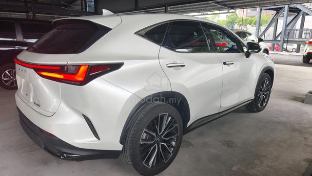 2022 Lexus NX250 2.5 LUXURY - 5