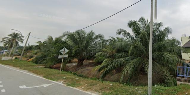 Tanah Sawit Tepi Jalan Zon kediaman Telok Panglima Garang Banting 1