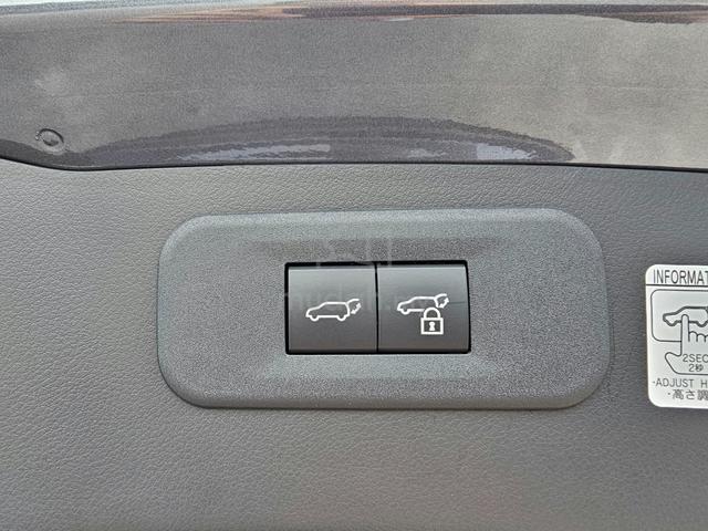 2022 Lexus NX250 2.5 Version L 4Cam HUD BSM NX 250 - 3