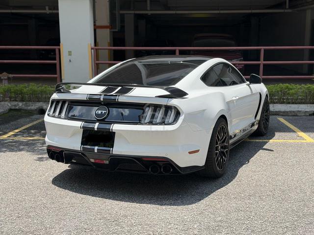 Ford MUSTANG 5.0 GT500-Shelby F/Ekzos CarbonFiber - 2