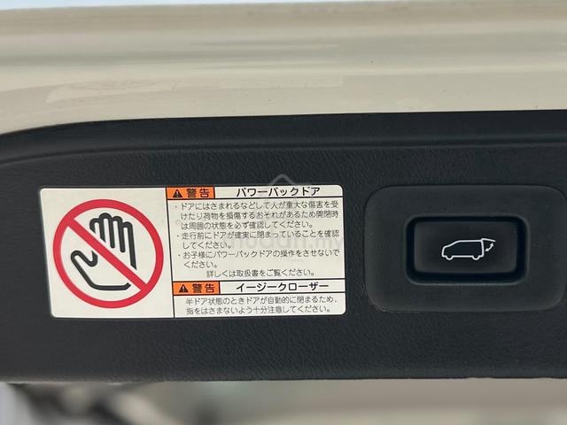 2018/2019 Toyota ALPHARD 2.5 SC AGH30W @360CAM - 4