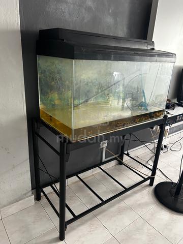 Akuarium ikan - photo 2 of 5