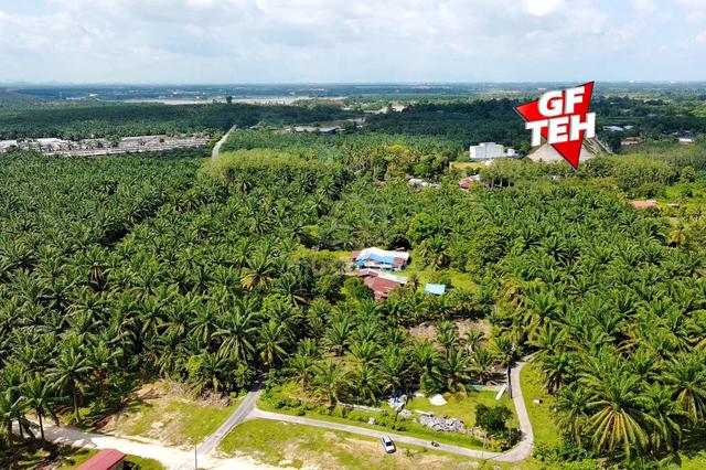 3.61 acre Agricultural land | Sidam Kanan | Padang Serai | Kedah D 1