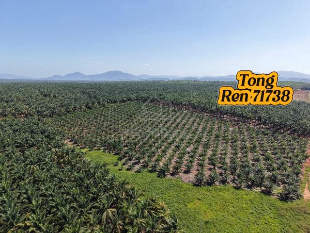 Bukit Selambau Industrial Land For Sale 1