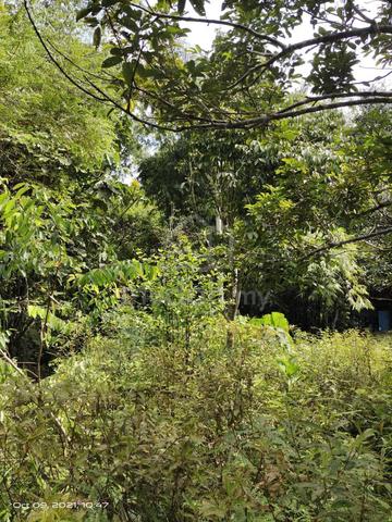 Tanah Bukit Beruntung Non Bumi 3