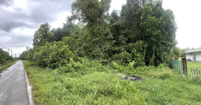 Sabandar NT Land Tuaran 4 acres 1