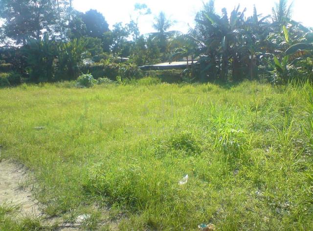 Agricultural Land in Rawang 🌿 Bumi 1