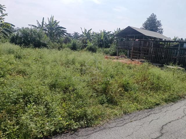 Dlm kawasan sini blh ke Bina rmh di kawasan ni 1