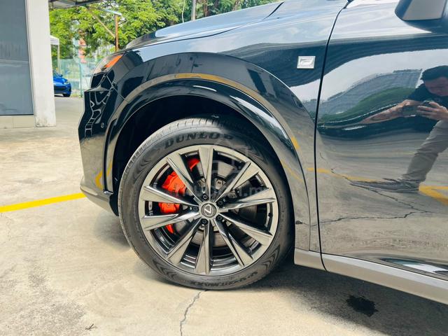 2024 Lexus RX350 2.4 F SPORT (A) - 5