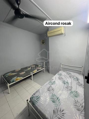 ‼️ Mencari Pengganti Bilik Sewa Sharing 1