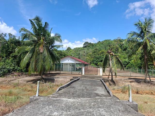 Freehold, Non Bumi Lot ,Bungalow inside 1.3 acre land @ Gelang Patah 1