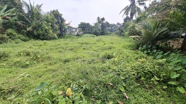 Tanah 14,470ft² di Ketereh, Kelantan 1