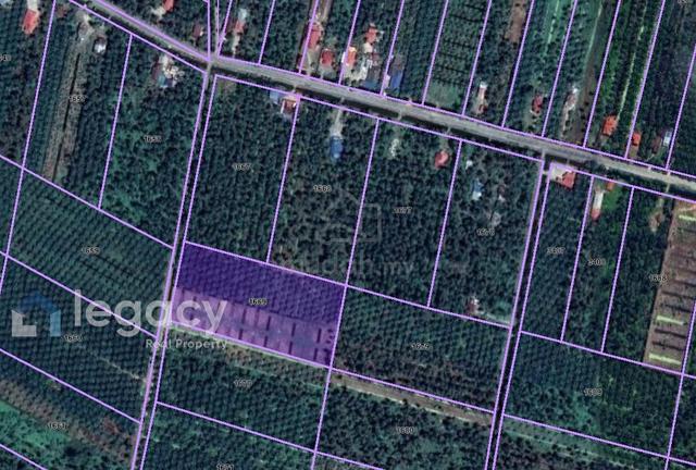 Tanah Sawit Untuk Dijual Di sungai Nipah, Mukim Rungkup, Bagan Datuk, 1
