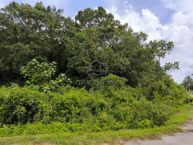 Residential land at Pasir Panjang, Port Dickson, Negeri Sembilan 1