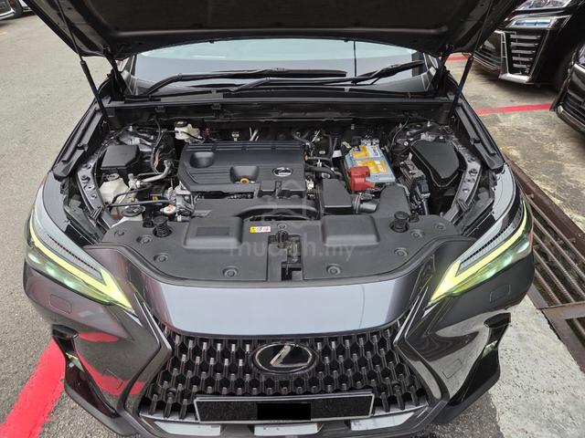 2024 LEXUS NX250 2.5cc VERSION L MODEL (UW12/2029) - 3