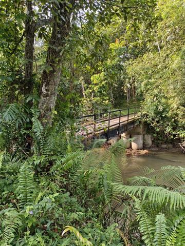 Tanah Ada Jambatan Dusun Dan Rumah Tepi Sungai Lui Untuk Dijual 1