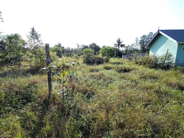 *TANAH PERTANIAN UNTUK DIJUAL* Jalan Alur Kangkung, Kempadang, Kuantan 1