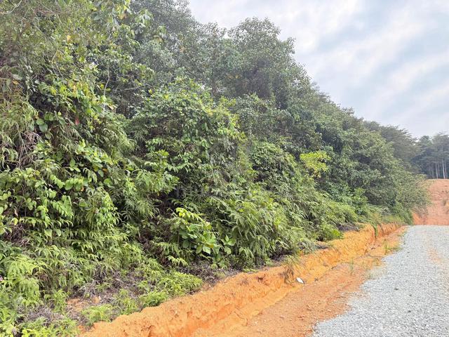 Prime 1.85 acres agriculture land near Salak Tinggi- Gateway to KLIA 1