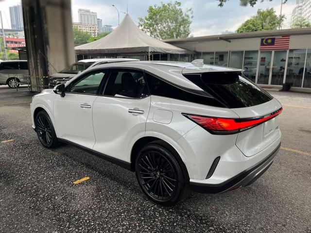 2023 Lexus RX350 2.4 LUXURY / WHITE LTR / SUNROOF - 2