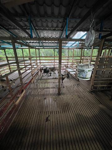 Carousel Image Selected