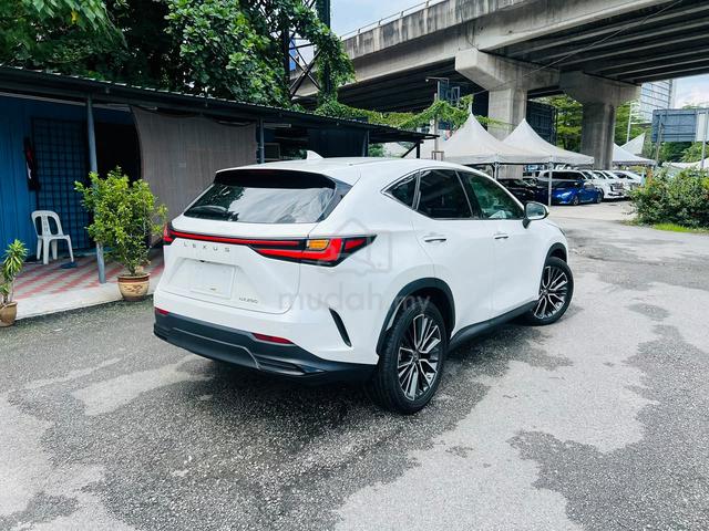2023 Lexus NX250 2.5 LUXURY Sunroof HUD BSM DIM - 4