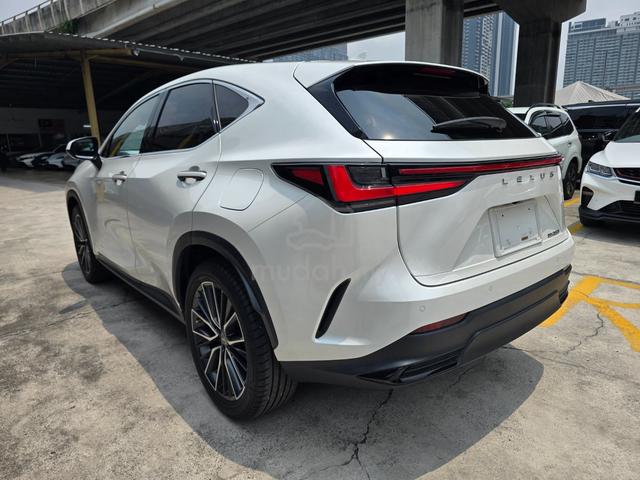 2023 Lexus NX250 2.5 Version L Ready Stock 5B/19k - 3