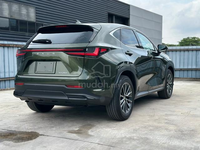 RECON UNREG 23 Lexus NX250 BASE *SPECIAL COLOR - 4
