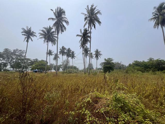 Tanah Untuk Dijual| Tanjung Pungai, Johor 1