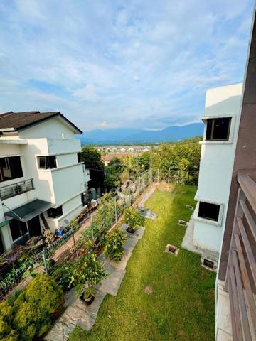 [Facing Open] Cassia Semi D 1