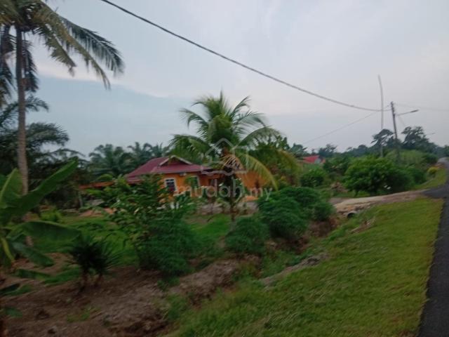 Tanah Pertanian Kampung Seri Menanti Parit Raja Johor Utk Dijual 1