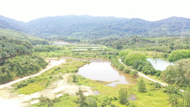 Ladang Kelapa Sawit Zoning Industri Ulu Semenyih, Semenyih 1