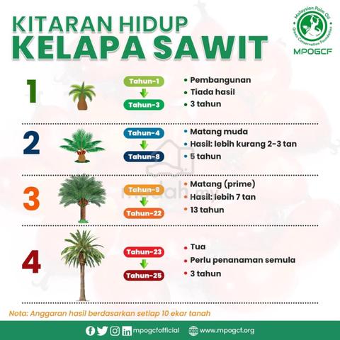 PELABURAN UNTUNG LADANG SAWIT 247.1 ekar Kuala Pilah, Negeri  Sembilan 4