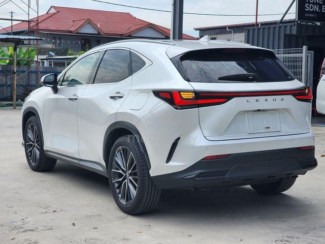 2023 Lexus NX250 2.5 LUXURY (A) - 3