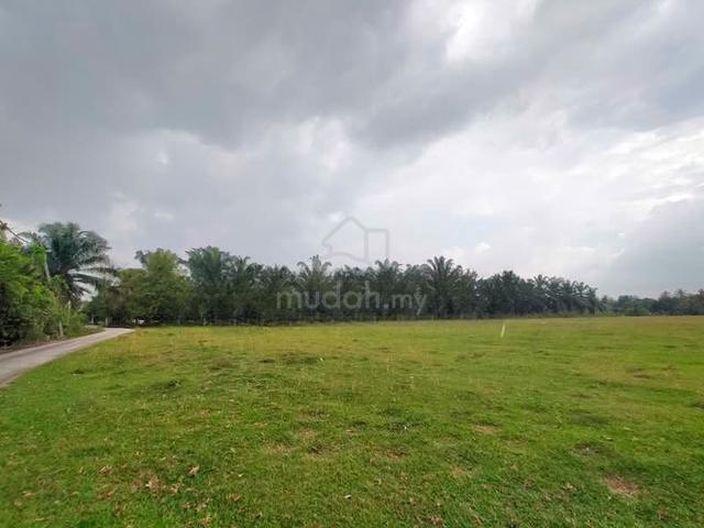 Agriculture Land Tasek Gelugor Penang (Good Location) kampung selamat 1