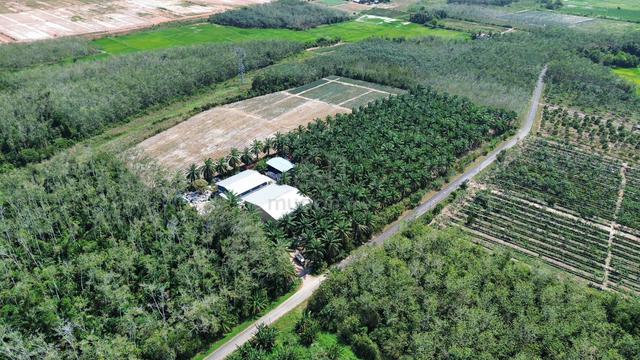 Zoning Residential Agriculture Land Napoh Jitra Kedah For Sale 1