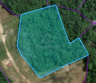 Bau Native Land For Sale 1