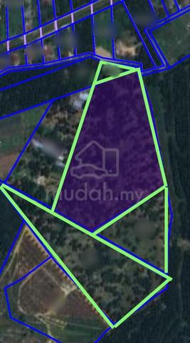 【FREEHOLD】Bemban Jasin Agriculture Land Durian Farm Melaka for Sale 1