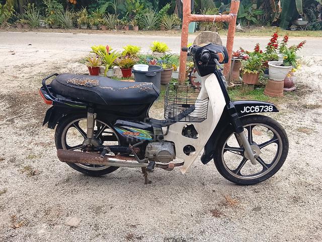 Carousel Image