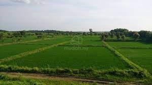 Lenggong, Perak agricultural land, State Land 5