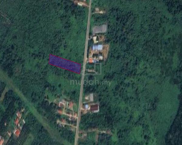 Rompin Pontian Main Road Agricultural Land 1
