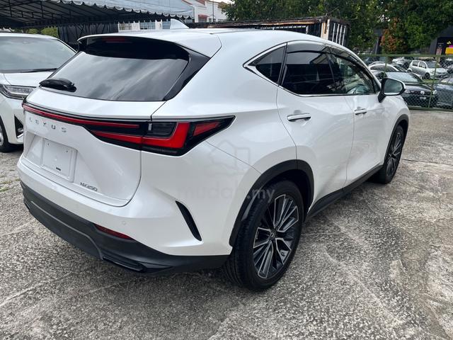 Lexus NX 250 2.5 VERSION L NO ROOF Unreg 2023 - 2
