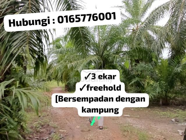 TANAH 3 EKAR HARGA TERENDAH di Kg tengah Sabak Bernam Selangor 1