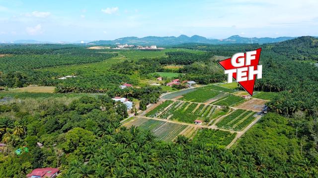 8.54 acre Agricultural Land | Sungai Kechil | Nibong Tebal | Penang 1