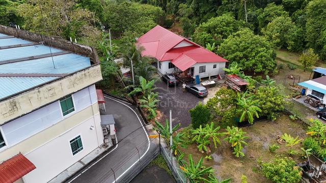 Rumah Sewa Jalan Bakariah/Bukit Treh 1