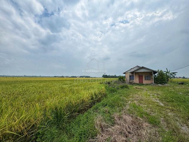 2.94 Ekar FH Malay Reserved Tanah Sawah Bendang di Sungai Besar 1