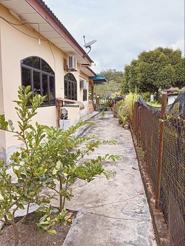 1 Bungalow and 1 terrace house 1