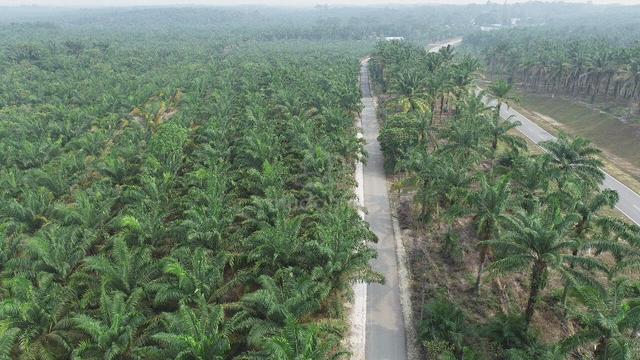 PRIME INVESTMENT OPPORTUNITY: 51-ACRE FREEHOLD LAND WiTH DEVELOPMENT Z 1