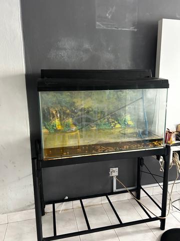 Akuarium ikan - photo 5 of 5